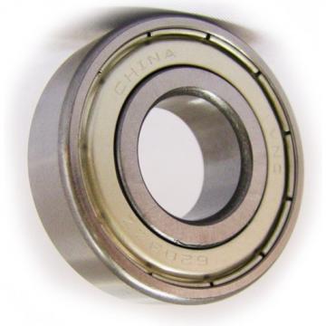 NSK Ball Bearing 608z1 Zz 6004DDU 6200 6203 6202 6206 6230 6210 6904 6003 6205