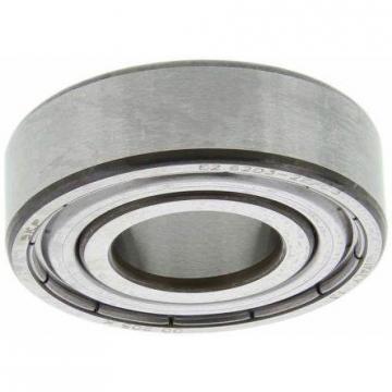 NACHI, Timken, NSK, NTN, Koyo, IKO, Auto Deep Groove Ball Bearing SKF (6204 6205 6206 6207 6209 Z Zz RS 2RS Bearing