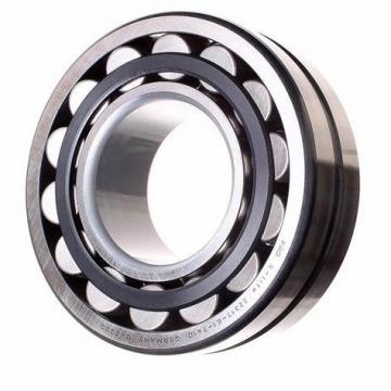 Spherical Roller Bearing 22217 BS2-2217 21317 22317 E -2RS/Vt143 Cc E/Va405 Cc/W33 -2RS5/Vt143 Eja/Va405 Eja/Va406