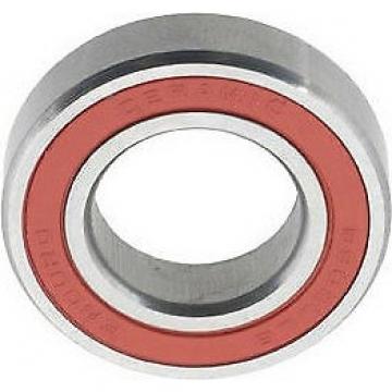 Ceramic Ball Bearing with Material Zro2 Si3n4 (126 108 127 129 135 1200 1202 1300 608 6000 6800)