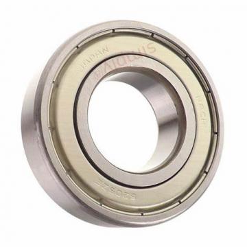 NACHI Ball Bearing 6200 6201 6202 6203 6204 6205 C3 Zz/2RS /2nse Deep Groove Ball Bearing