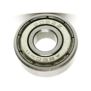 Hybrid Ceramic Ball Bearing ABEC-5 Sr2-5c-2RS