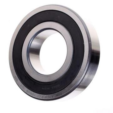 NTN/Koyo/NSK/NACHI 7209 Angular Contact Ball Bearings 7204, 7205, 7206, 7207, 7208 B-Tvp Begap Acd/P4adgc C AC B Type